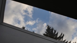 My son wanted a clearer view so he went on the roof and washed the outside. What a view from the kitchen ceiling. 