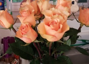 Roses, like good friends are treasures. 