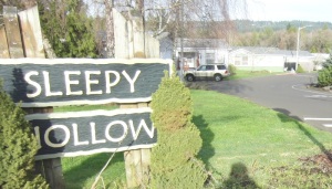 Yes, I live in Sleepy Hollow. Scary, isn't it? 
